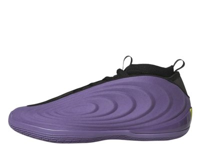 Adidas adidas Harden Volume 10 "Tech Purple" (JQ9426)
