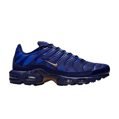 Nike Nike Air Max Plus French Football Federation
