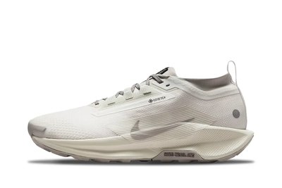Nike Nike ReactX Pegasus Trail 5 Gore-Tex SP "Light Bone" (HQ7494-100)